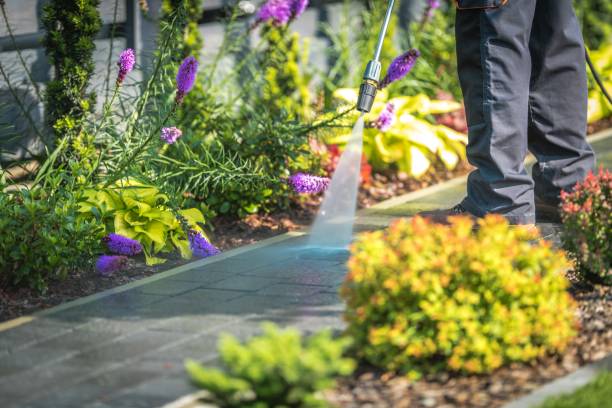 Best Spring Cleaning  in Riverview, FL